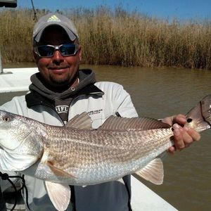 Meet your Posher, Rusty